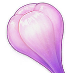 原神天云草实位置分布一览