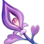 原神鸣草位置分布一览