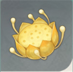 原神月莲位置分布一览