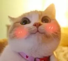 第五人格2v8欢乐大乱斗求生者攻略