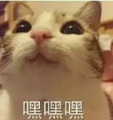 第五人格2v8欢乐大乱斗求生者攻略