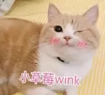 第五人格2v8欢乐大乱斗求生者攻略