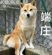 第五人格先知进阶玩法攻略