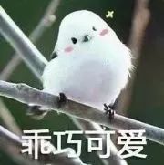 第五人格先知进阶玩法攻略