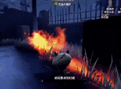 第五人格26号守卫高阶玩法攻略