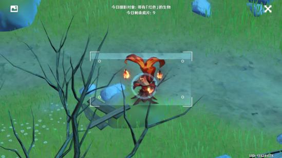 原神红色生物位置介绍