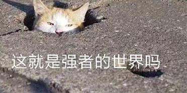 原神家园家具性价比一览