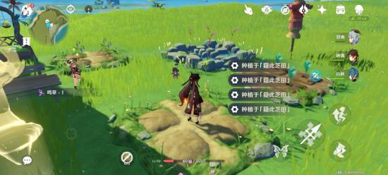 原神梦里生花种花方法介绍