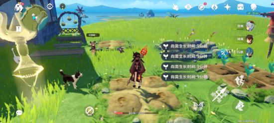 原神梦里生花种花方法介绍