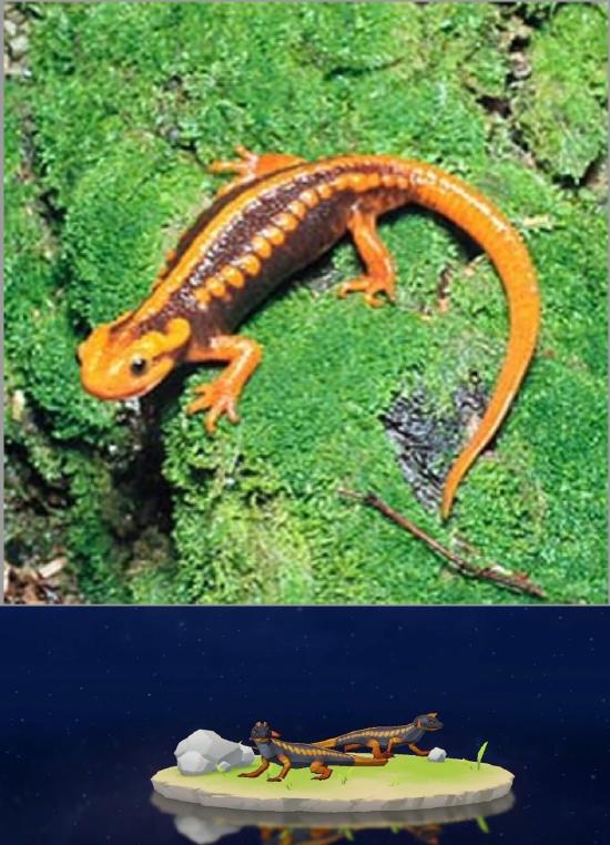 原神须弥地形设计解析