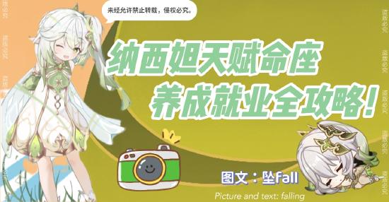 原神小草神角色详解