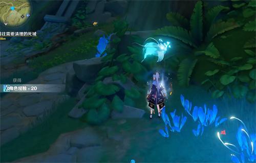 原神须弥水下锚点开启攻略