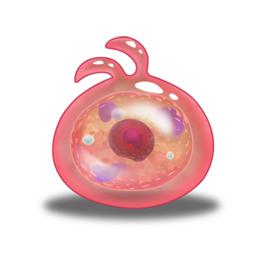 不思议迷宫寄生体4号图鉴一览