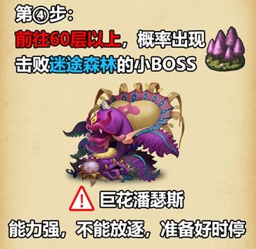 不思议迷宫斯多利卡攻略