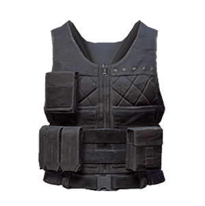 和平精英二级甲图鉴一览