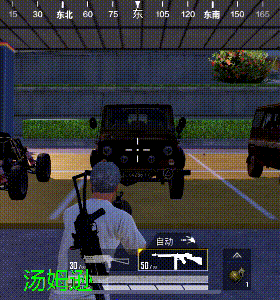 和平精英冲锋双雄野牛与汤姆逊对比解析