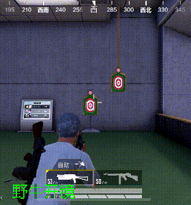 和平精英冲锋双雄野牛与汤姆逊对比解析