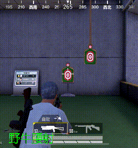 和平精英冲锋双雄野牛与汤姆逊对比解析