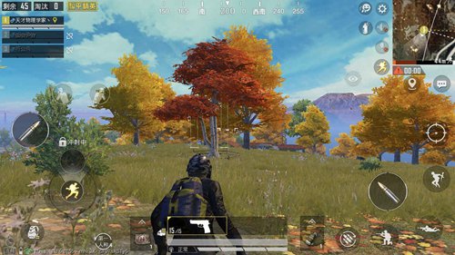 和平精英枫叶林玩法攻略