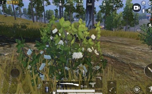 和平精英SS3赛季第3周任务教学