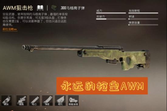 和平精英栓狙和连狙对比解析