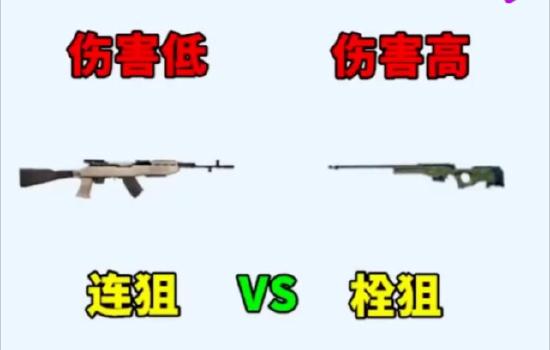 和平精英栓狙和连狙对比解析
