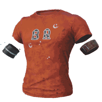 和平精英服饰装备汇总