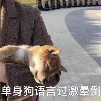 520单身狗微信朋友圈文案表情包高清无水印免费分享