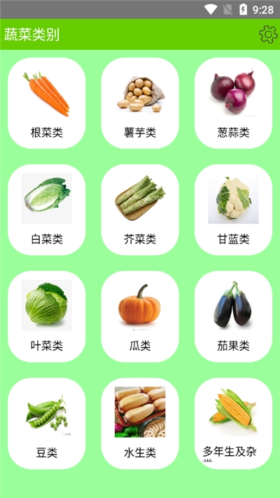 蔬菜百科书大全