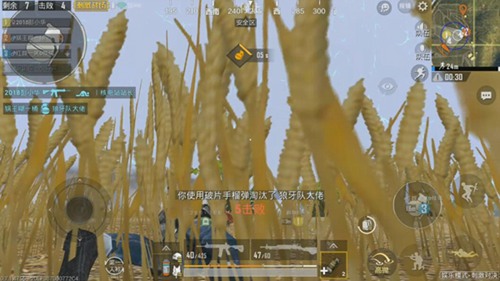 和平精英麦田决赛圈要点解析