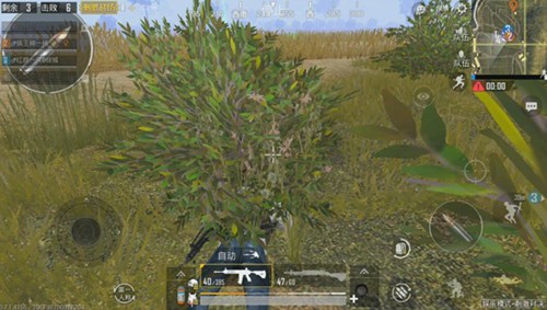 和平精英麦田决赛圈要点解析