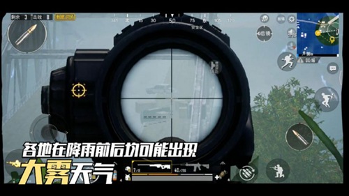 和平精英雨天雾天打法技巧解析