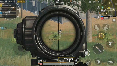 和平精英雨林地图获胜技巧解析