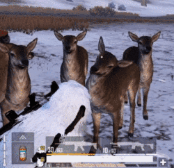 和平精英极寒物资箱藏宝图一览