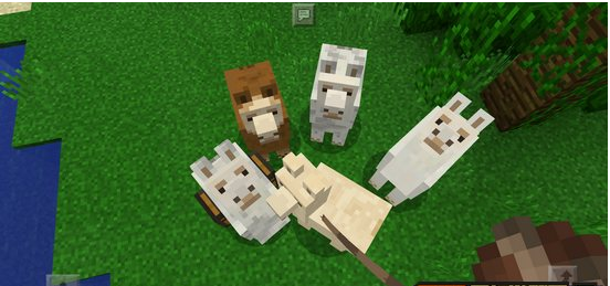 我的世界羊驼放箱子方法