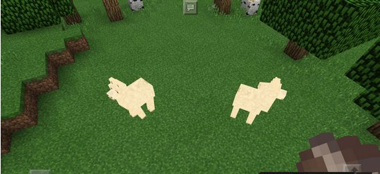 我的世界羊驼驯服方法