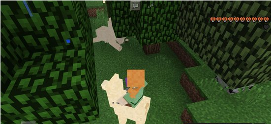 我的世界羊驼驯服方法