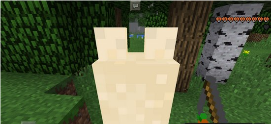 我的世界羊驼驯服方法