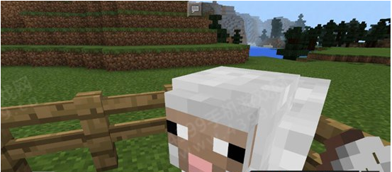 我的世界羊毛获取方法