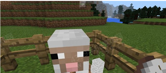 我的世界羊毛获取方法