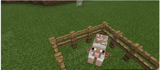 我的世界羊毛获取方法