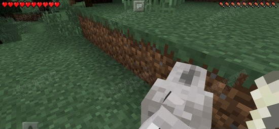 我的世界狼驯服方法介绍