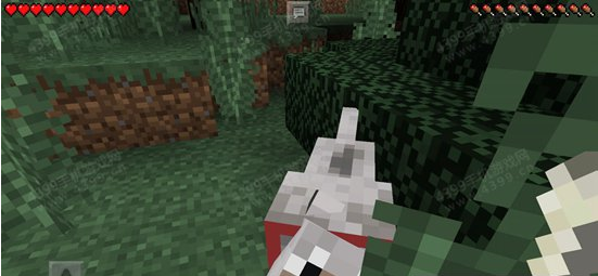 我的世界狼驯服方法介绍