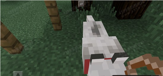 我的世界狼驯服方法介绍