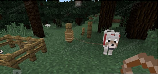 我的世界狼驯服方法介绍