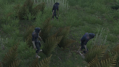 明日之后茅斯沼泽地图地形解析