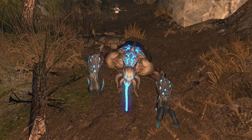 明日之后茅斯沼泽地图地形解析