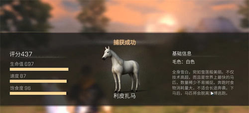 明日之后红杉镇白马位置介绍