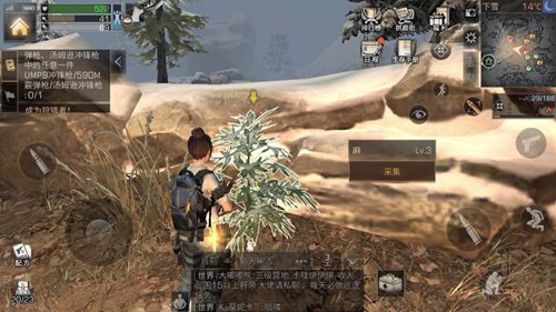 明日之后白树高地麻位置介绍