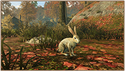 明日之后抓兔子技巧分享